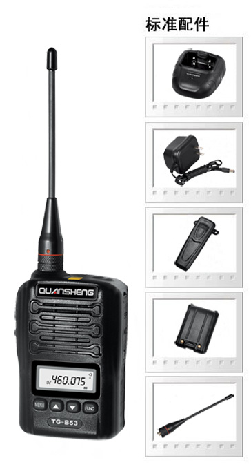 Ȫʢ���v�CTG-B53